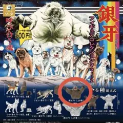 2026年最新】銀牙 流れ星 銀の人気アイテム - メルカリ