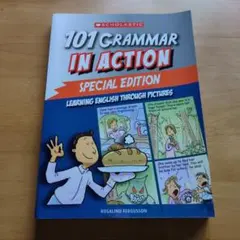 101 Grammar in Action Special Edition