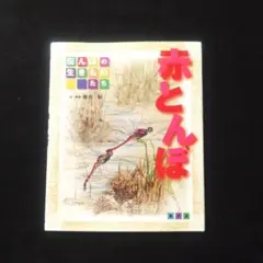 紅蜻蜓
