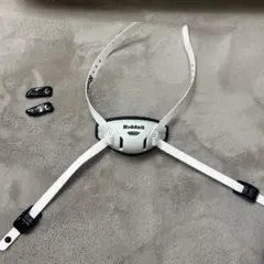 Item thumbnail for item 8b2215cd-55c0-443f-bf65-e1595b302d7d