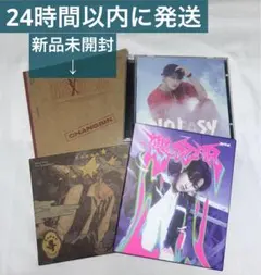 Stray Kids MAXIDENT チャンビンセット 未開封