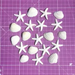 【新品①】デコパーツ ハンドメイド シェル 貝殻 貝がらヒトデ海20個まとめ売り