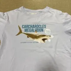 Item thumbnail for item 553bd778-a79f-454b-a5ed-d9d694e0bcee