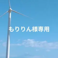 もりりん様専用◆栗蒸し羊羹2本