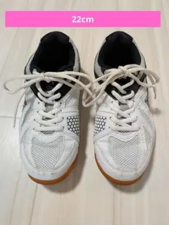 バレーボールシューズ ホワイト/ブラック 22cm