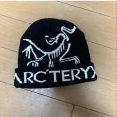 大人気 24時間以内発送 ARC'TERYX ビーニー
