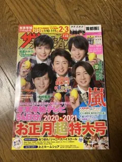 ザ・テレビジョン お正月超特大号 2020-2021 嵐 雑誌