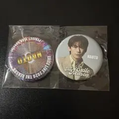 EXILE NAOTO 缶バッジ 2個セット THE REASON