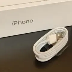iPhone 純正 付属品 ライトニングケーブル1m