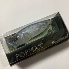 マルイカスペシャル 浅場専用調子 ロッド 本体 - メルカリ