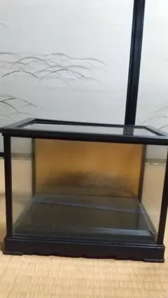 ディスプレイケース 黒枠 金屏風風背景