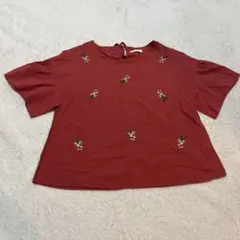 アースミュージックアンドエコロジー 花柄 総刺繍プルオーバー ブラウス 赤 美品