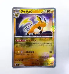 ヤドン　ライチュウ　マスターボール柄　2点セット ヤドン ライチュウ マスターボール柄 2点セット 【公式通販】