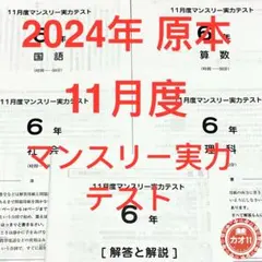 2025年最新】サピックス 5年 11月の人気アイテム - メルカリ