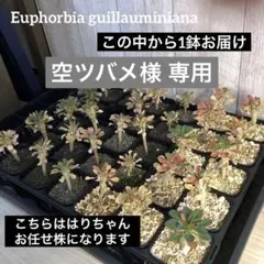 空ツバメ様 リクエスト 3点 まとめ商品