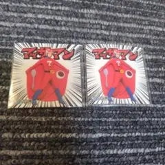 マッサマンカレー　シール　2枚