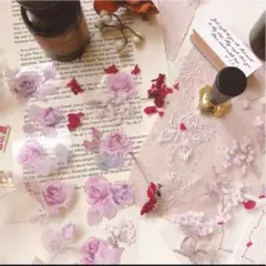 56.台湾マステ 切り売り 新作 樂意 コ光沢PETタイプ