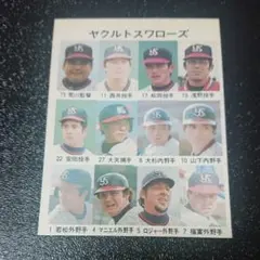 y*i様 カルビープロ野球カード1976年 No439 ヤクルトスワローズチーム