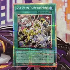 遊戯王　M∀LICE IN UNDERGROUND 絵違い　プリシク M∀LICE IN UNDERGROUND | スーパー | ドラゴンスター | 遊戯王