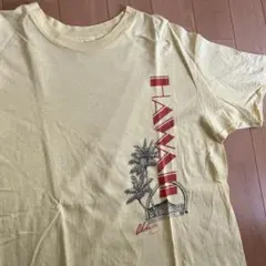 HAWAII ヴィンテージ Tシャツ