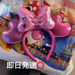 カチューシャ ミニー パルパル ミニパル ミニファン