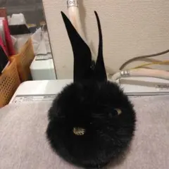 リアルファー　フォックス　レキッシュ　ブラック　犬ぬいぐるみ リアルファー フォックス レキッシュ ブラック 犬ぬいぐるみ - メルカリ