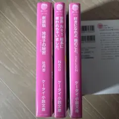 野いちご文庫 小説2冊セット - メルカリ