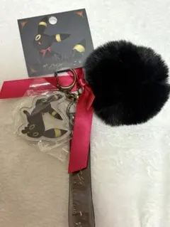 ポケモンセンター　ブラッキー　キーホルダー　イーブイコレクション