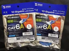 【未使用品 2個セット】CAT6A LANケーブル(極細1m)