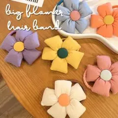 韓国《BIGフラワーモチーフ　ヘアゴム》