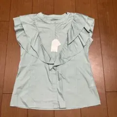 Item thumbnail for item a1bea61f-ca98-491e-9db3-a31e6515ecd4