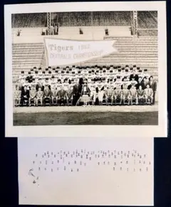 1962年 阪神タイガース 優勝記念 集合写真のサムネイル