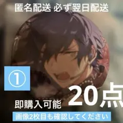 漣ジュン あんスタ フィーチャースカウト2 缶バッジ 20点セットまとめ
