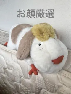 ヒン　ぬいぐるみ☆のサムネイル