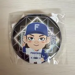 北海道日本ハムファイターズ 野村佑希 ガチャ 缶バッジ victory - メルカリ