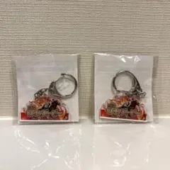 【新品未開封】第92回日本ダービー(東京優駿) 限定アクキー 2個セット