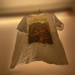 stussy ステューシー　入手困難　 バタフライ✖️フラワー　スーパーブルーム