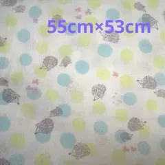 Item thumbnail for item b41e2310-3afa-4c9d-ad93-ba34e443f33b