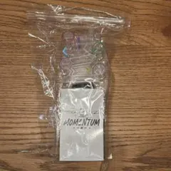 timelesz LIVE TOUR 2026 momentum ペンライトのサムネイル
