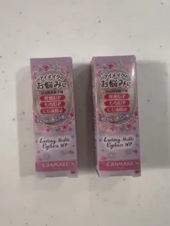 CANMAKE ラスティングマルチアイベース WP 01 2本セットのサムネイル