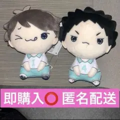 ハイキュー!! もちぴこぬいぐるみ6・2種セット 及川 徹 岩泉 一②