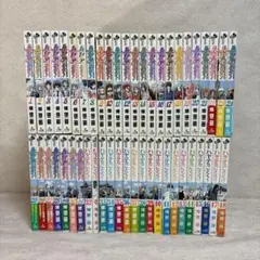 ハヤてのごとく! 1～48巻+0巻　※送料無料　即購入可