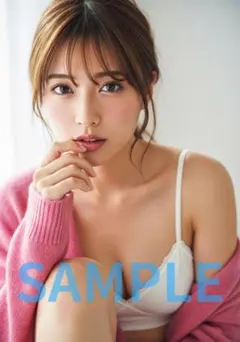 L1077　AI美女 A4ポスター コスプレ　水着　グラビア ランジェリー