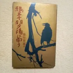 2026年最新】藤原審爾の人気アイテム - メルカリ