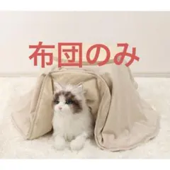 Item thumbnail for item 15428a61-e1cc-4f61-8ee1-b29dd2d209bd