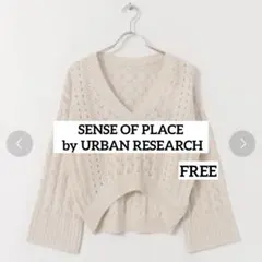 ワイドスリーブスカシアミセーター SENSE OF PLACE
