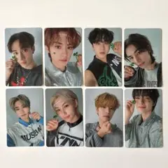 StrayKids social path ソシャパ　封入8枚セット