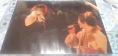 MeseMoa. 　2L　まとめ売り