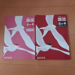 四谷大塚予習シリーズ国語　難関校６年下有名校対策