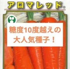 メルー様 リクエスト 2点 まとめ商品
